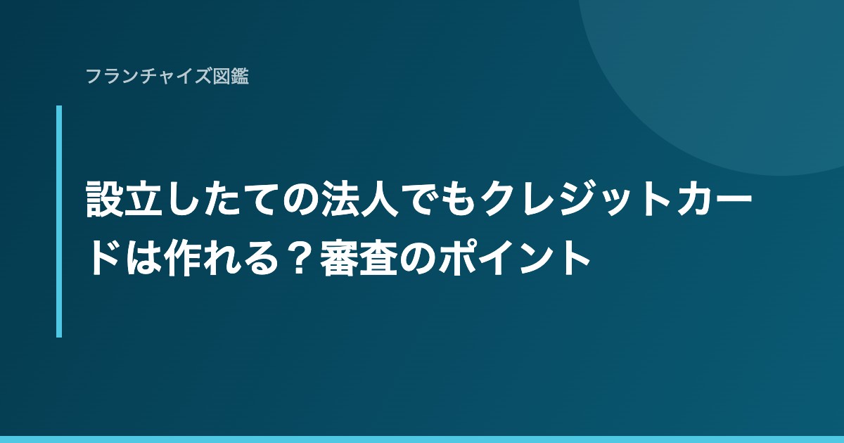 設立したての法人でもクレジットカードは作れる？審査のポイント